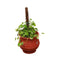 Ornamental Flower Pot with Base Cover